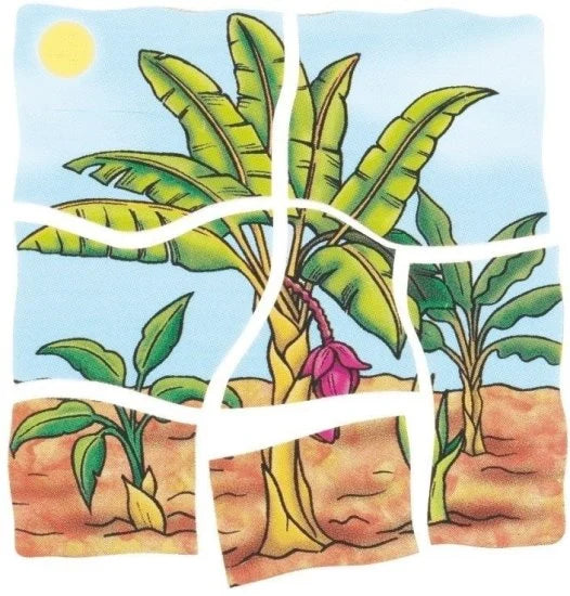 פאזל בננה מעץ 5 ב 1 עם 30 חלקים 17049 BELEDUC