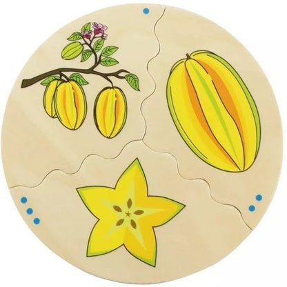 משחק הכרת הפירות 30 חלקים Cognito מעץ 11581 מבית Beleduc